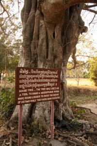 canstockphoto6488756 (1)