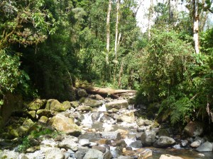 import from years ago 1963