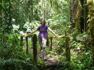 import from years ago 1972