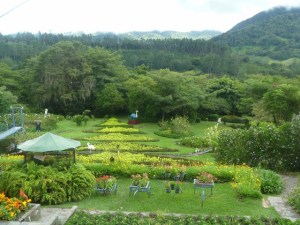 boquete 004 (640x480)