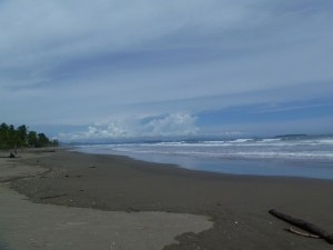 boquete 023 (640x480)