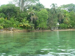 first month 027 (640x480)