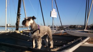 IMG_20150427_072510_906