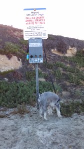 IMG_20150429_074404_912