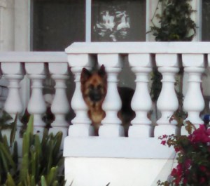 IMG_20150429_075119_123