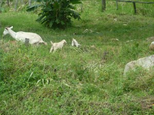 import from years ago 058