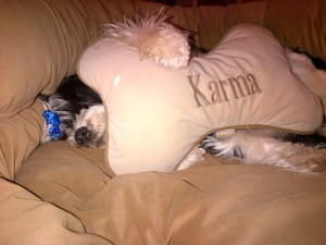 karma sleeping