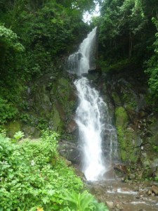 boquete 002 (480x640)